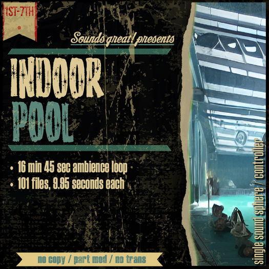 Sounds Great! Single Controller - Busy Indoor Pool