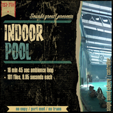 Sounds Great! Single Controller - Busy Indoor Pool