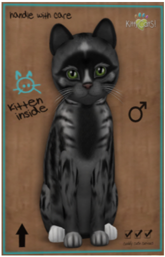 KittyCatS Box - Smokey V - (male) Bent Boo Boo