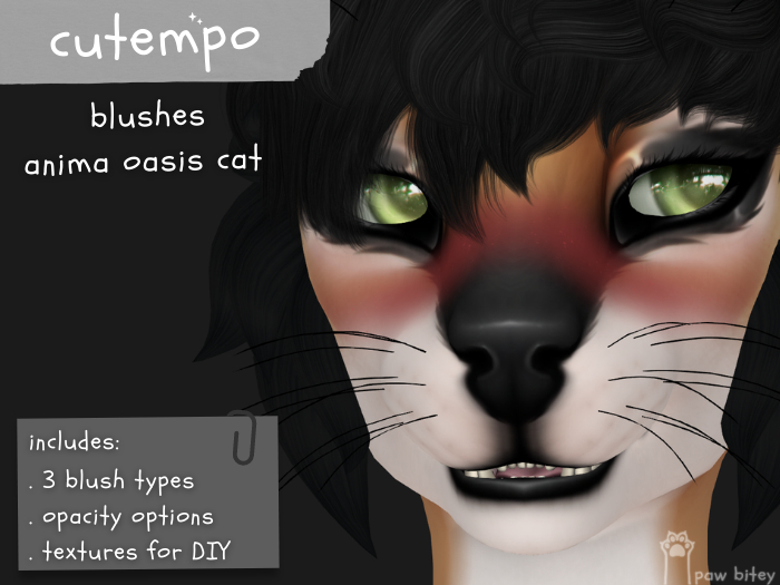 ct. blushes / oasis cat