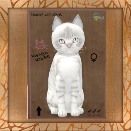 Fur: Australian Mist - Snow ♀