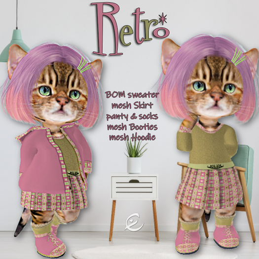 ~*ema's dinkie-Retro boxed