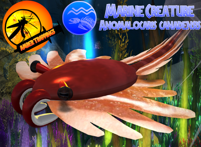 Amber Trappings -  Anomalocaris