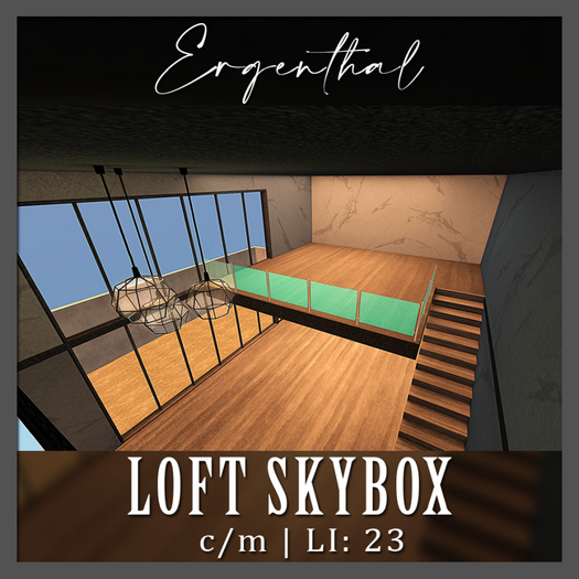 Ergenthal - Loft Skybox