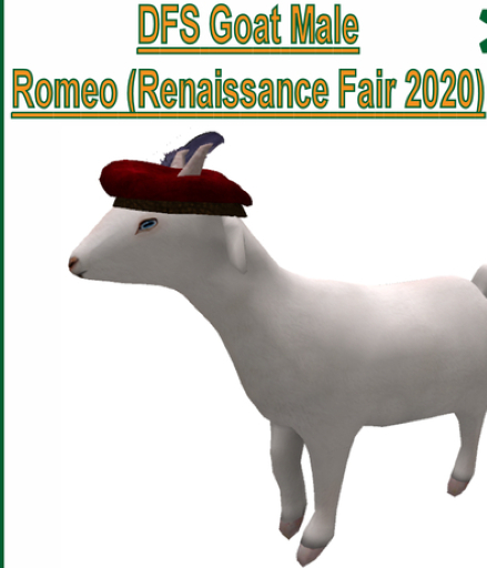 DFS Goat Male - Romeo (Renaissance Fair 2020)
