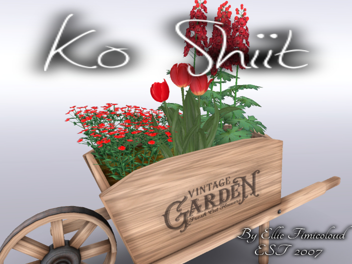 [KO SHIIT] Vintage Flower Barrow Red
