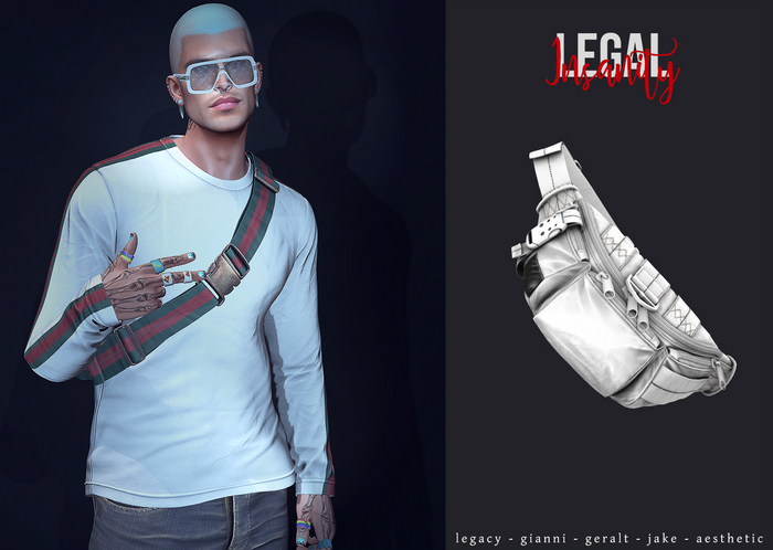 Legal Insanity - Max bag #10