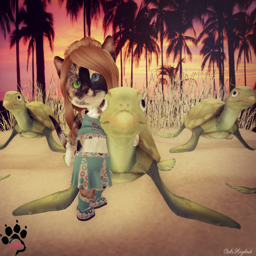 RAWR Turtle Run (Kids)