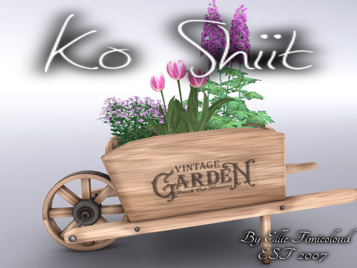[KO SHIIT] Vintage Flower Barrow Pink