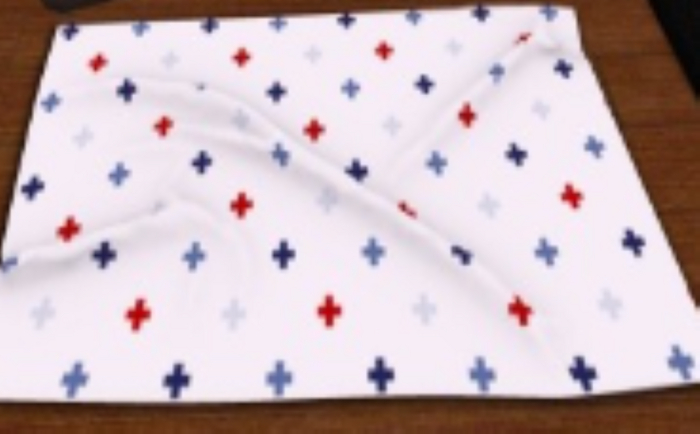 DFS Rug - Rectangle Red White & Blue Checks