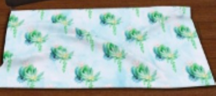 DFS Rug - Rectangle Summer Cactus