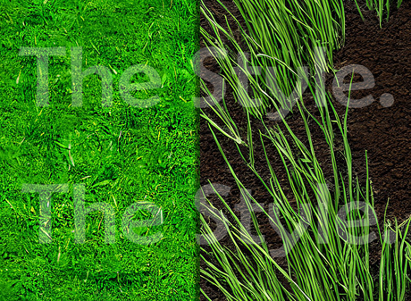 Second Life Marketplace Realistic Natures Soil Texture Seamless T