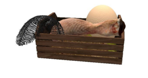 DFS Ostrich Crate (7)