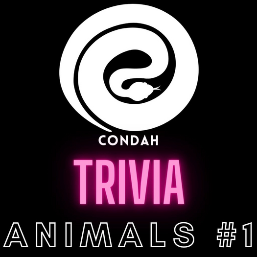 CONDAH Trivia - ANIMALS #1 - Trivia Card - 50 Questions
