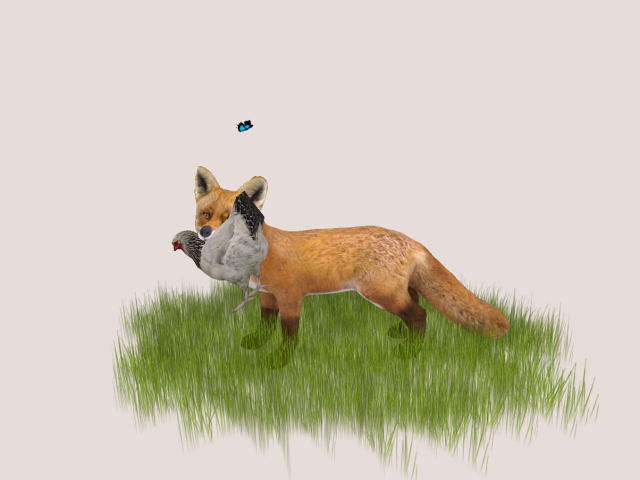 Naughty Fox