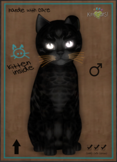 KittyCatS Box - Bengal - Black