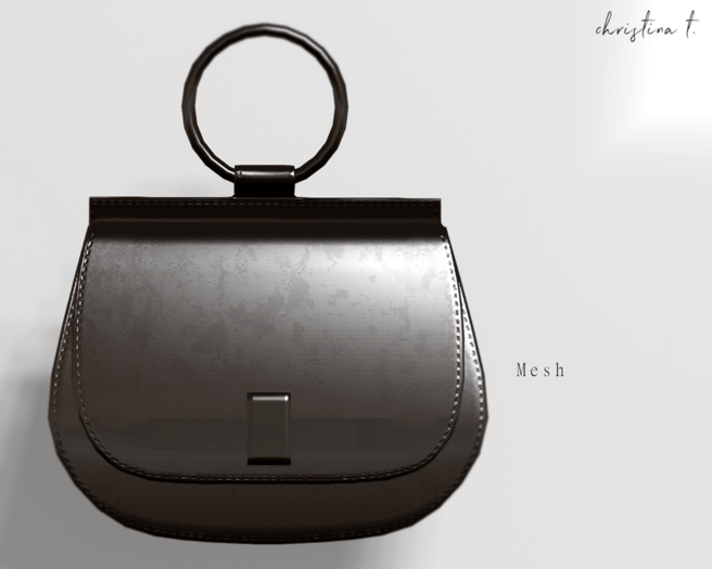 Christina T. -Metallic Handbag-