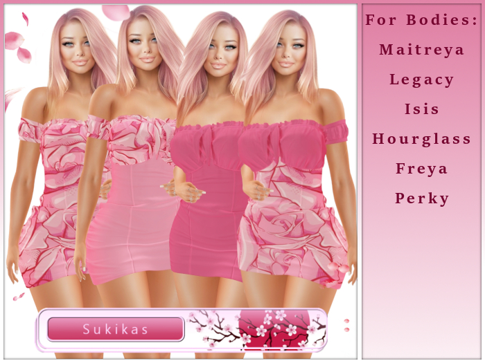 Aya Spring Rose MiniDress Set  