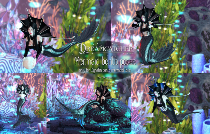 DREAMCATCHER // Mermaid bento poses