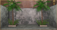 Indoor Patio Backdrop - The Bearded Guy