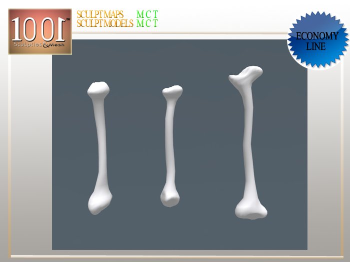 Full Perm Bones