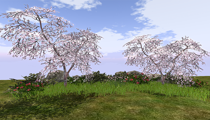 Jad Garden - Cherry Tree spring flower garden