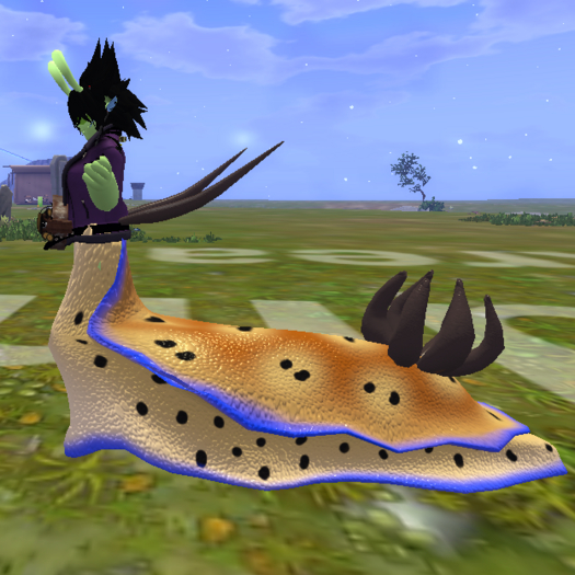 MMnM Nudibranch