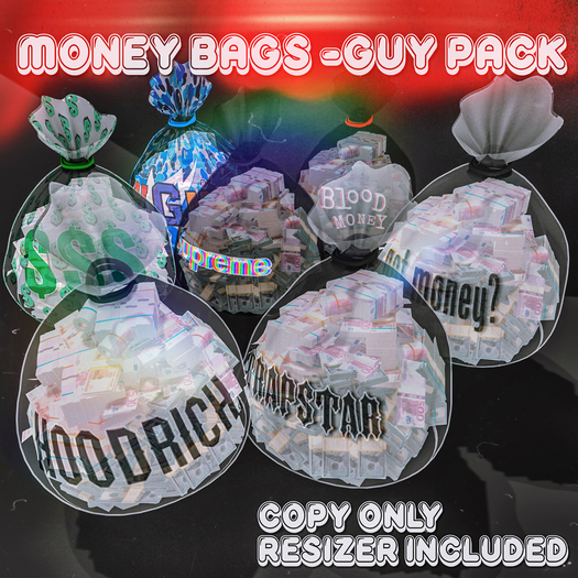 Money Bags -Guy Pack