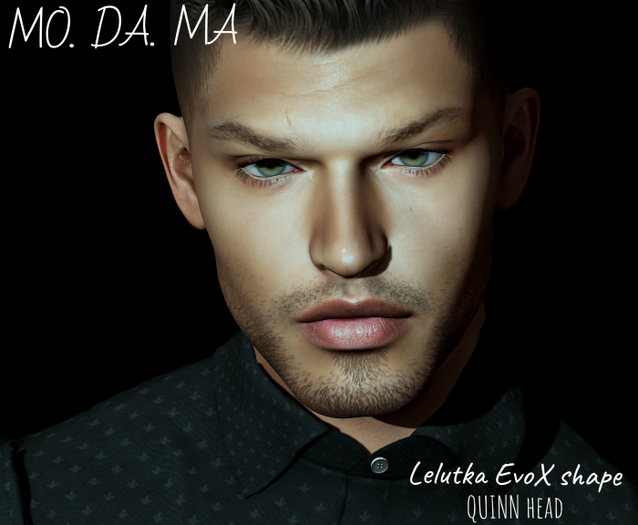 MO.DA.MA -  MAKAR shape