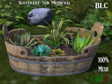 BLC Succulent tub Medieval