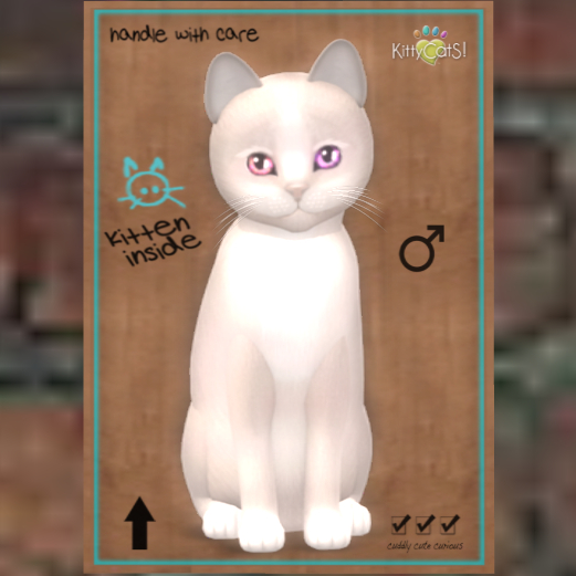 KittyCatS Box 9