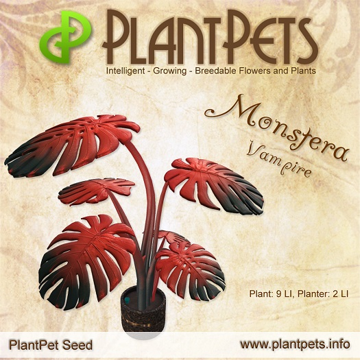 PlantPet Seed [Monstera *Vampire*] rare elite