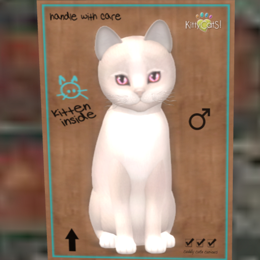 kittyCatS Box 13