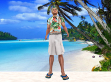 Luau-Hawaiian-Outfit-Male