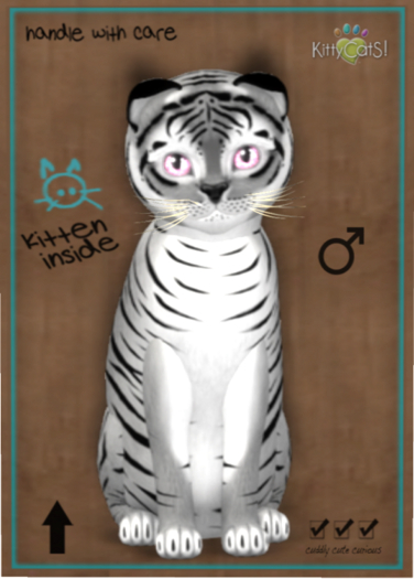 KittyCatS Box - Tiger! - Shadow