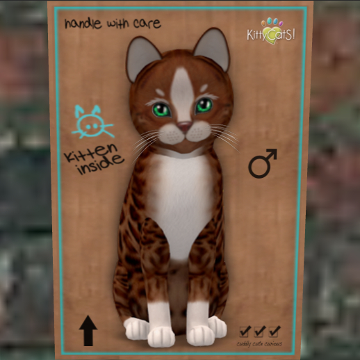 KittyCatS Box 43 Bigger de Big M