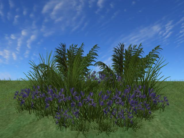 **The Low Prim Collection** RW - Fern bush patch scilla flowers *Shidee* c/m  *1 PRIM ONLY* 