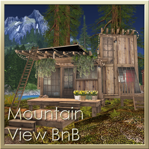 FREEBIE ➛ Yosemite Mountain View BnB - Rental Info Pack - National Park Adventures for Nature Lovers (Wear to Unpack) 