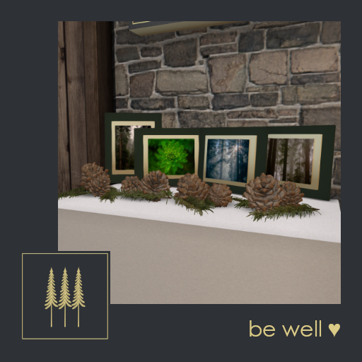 NEW ➛ Peace of the Forest (Decor Set) - Pine Branches and Pinecones with Forest Themed Art Photos - C/M (Wear to Unpack)