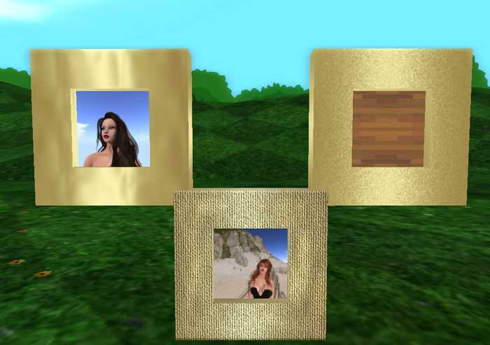 photo frame full perm