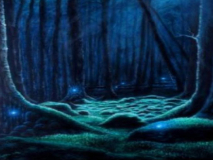 Forest Twinkles Texture