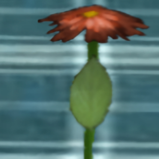 single orange flower