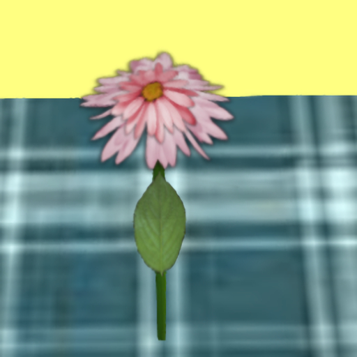 single pink flower