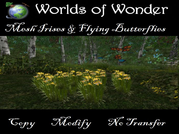 WoW Spring Flower Peachy Irises & Flying Butterflies