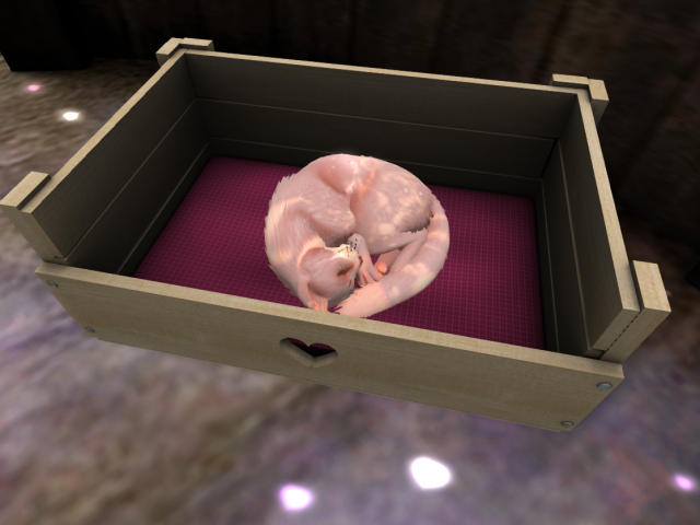 (TC) Twi Wildcat Catbed,rezz,wear,afk