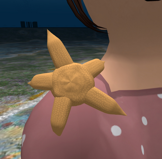 (7S) Common Stuff: Orange Starfish