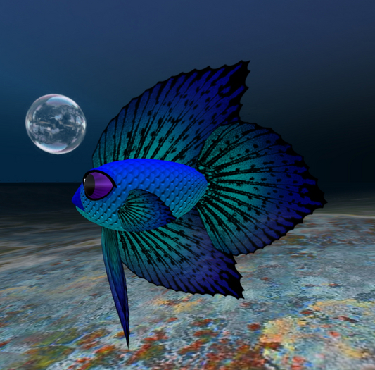 (7S) Common Fish: Blue Betta
