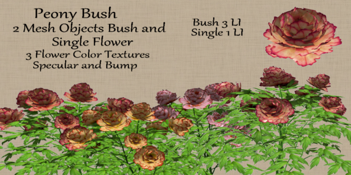 Bad Katz Peony Bush Full perm mesh