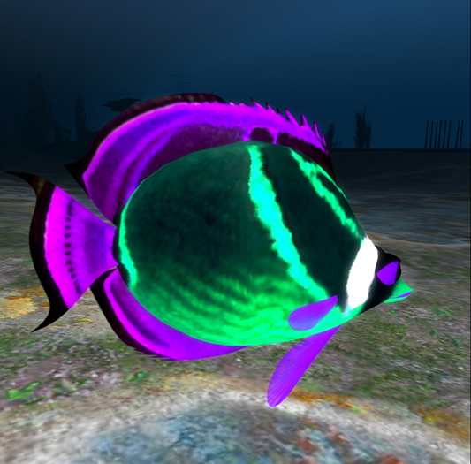 (7S) Uncommon Fish: Glow Raccoon Fish