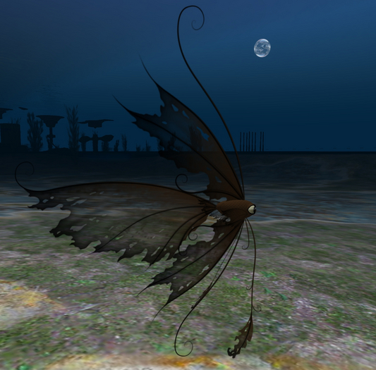(7S) Uncommon Fish: Cocoa Ragged Fish